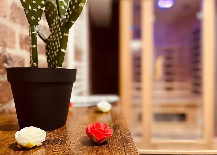 Luxe Cache Balneo Et Sauna Prives - 372 Apartment Rouen